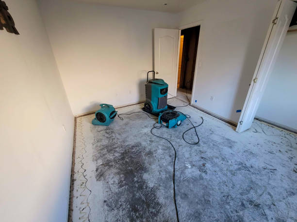 Best Water damage cleanup near me  in Glendale, WI