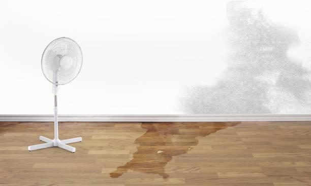 Best Commercial water damage restoration  in Glendale, WI