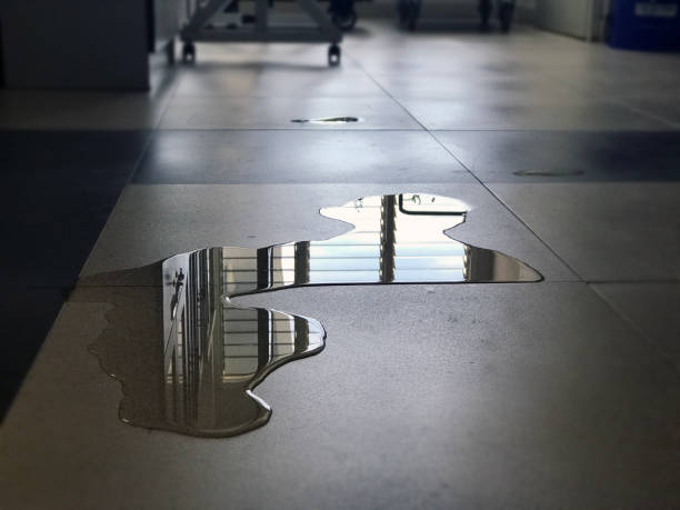 Best Emergency water damage restoration  in Glendale, WI