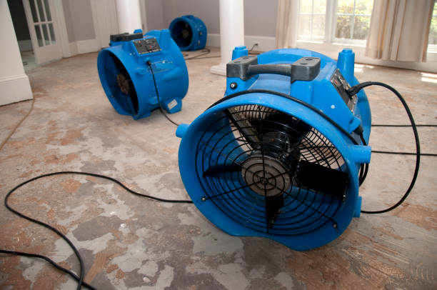Best Sewage cleanup and water damage restoration  in Glendale, WI