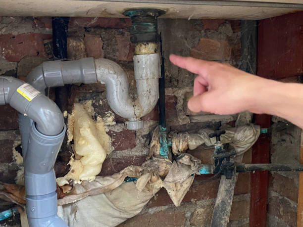 Best Commercial water damage restoration  in Glendale, WI