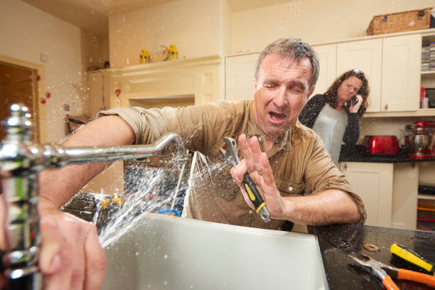 Best Mold removal after water damage  in Glendale, WI
